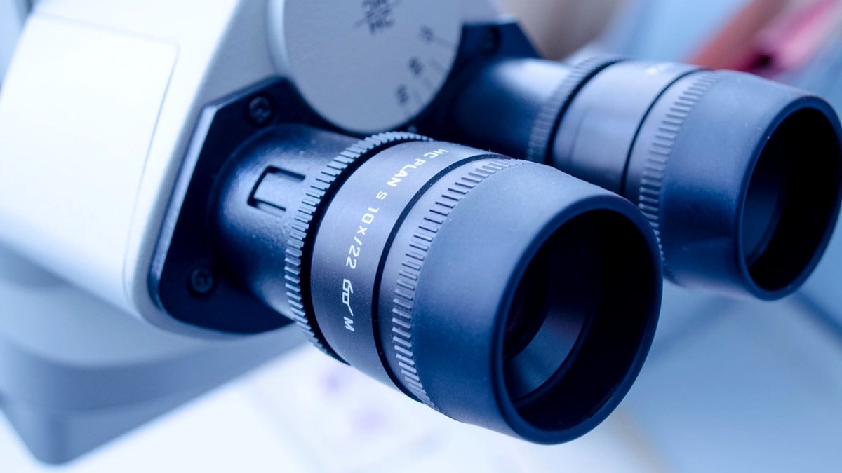 Категорирование КИИ для вуза и научной организации в 